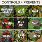 Organic Liquid Plant Food & Fertilizer – Indoor/Outdoor for Houseplants, Vegetables & Flowers, Monstera & Money Tree – OMRI Listed, Pollinator Safe – Easy Weekly Mix (Nutrition & Health Set)