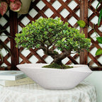 Bonsai Pots - 18 Inch Ceramic Plant Pot for Bonsai Tree, Modern Indoor & Outdoor Succulent Planter with Drainage, Room Decor, Gifts for Plant Lovers, White-Black