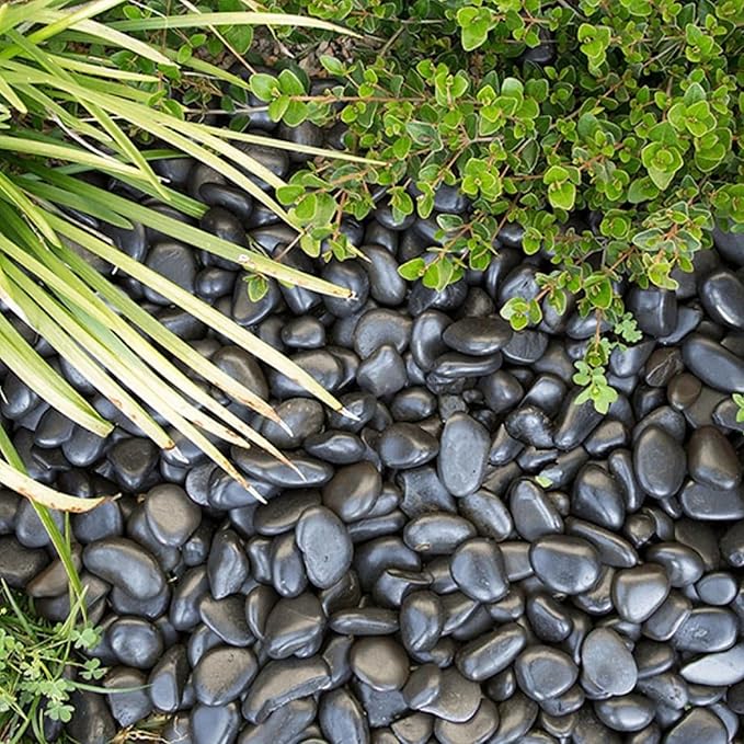 Large Pebbles for Landscaping 40lbs, 2-3 Inch Black River Rocks for Aquarium, High Polished Natural Decorative Stones for Vase Filler Fish Tank Gardening