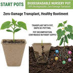 NEWMIAO 60 Pack 3.15 Inch Square Peat Pots, Biodegradable Seed Starter Pots for Seedlings with Single Drainage Hole, Square Nursery Pots Germination Kit Including 100 Plant Labels