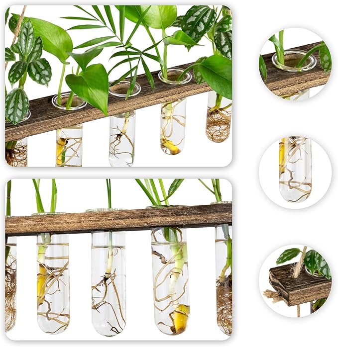3 Tier Wall Hanging Propagation Stations with 15 Glass Test Tubes, Plant Terrarium Propagation Tubes Planter for Hydroponic Cuttings, Window Decor Gift for Plant Lovers
