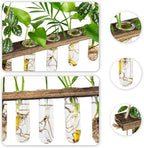 3 Tier Wall Hanging Propagation Stations with 15 Glass Test Tubes, Plant Terrarium Propagation Tubes Planter for Hydroponic Cuttings, Window Decor Gift for Plant Lovers