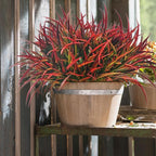 12 Bundles Fake Fall Outdoor Plants Artificial Grass Fall Stems Faux Plastic Fall Shrubs for Home Garden Pathway Window Box Front Porch Cemetery Fall Decor, Autumn Red