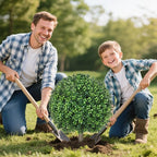 25.6" Artificial Boxwood Topiary Ball Trees: 2 Pack Fake Shrubs with Spike – UV Resistant & Fade Resistant Faux Bushes, Evergreen Spring Artificial Plants for Outdoor Indoor Front Porch Garden