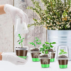 Sckee Clear Nursery Pots for Plants, 30 Packs Plastic Seed Starting Pots with Drainage Holes Plant Nursery Pots Silicone Base (Light Green, 3.1 inch with lids)