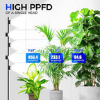 Barrina T1X5 Floor Grow Lights for Indoor Plants, 50W, 5000K, Full Spectrum, Adjustable 5 Heads, High PPFD, 6FT with Foot Switch, Vertical Plant Lights for Growing