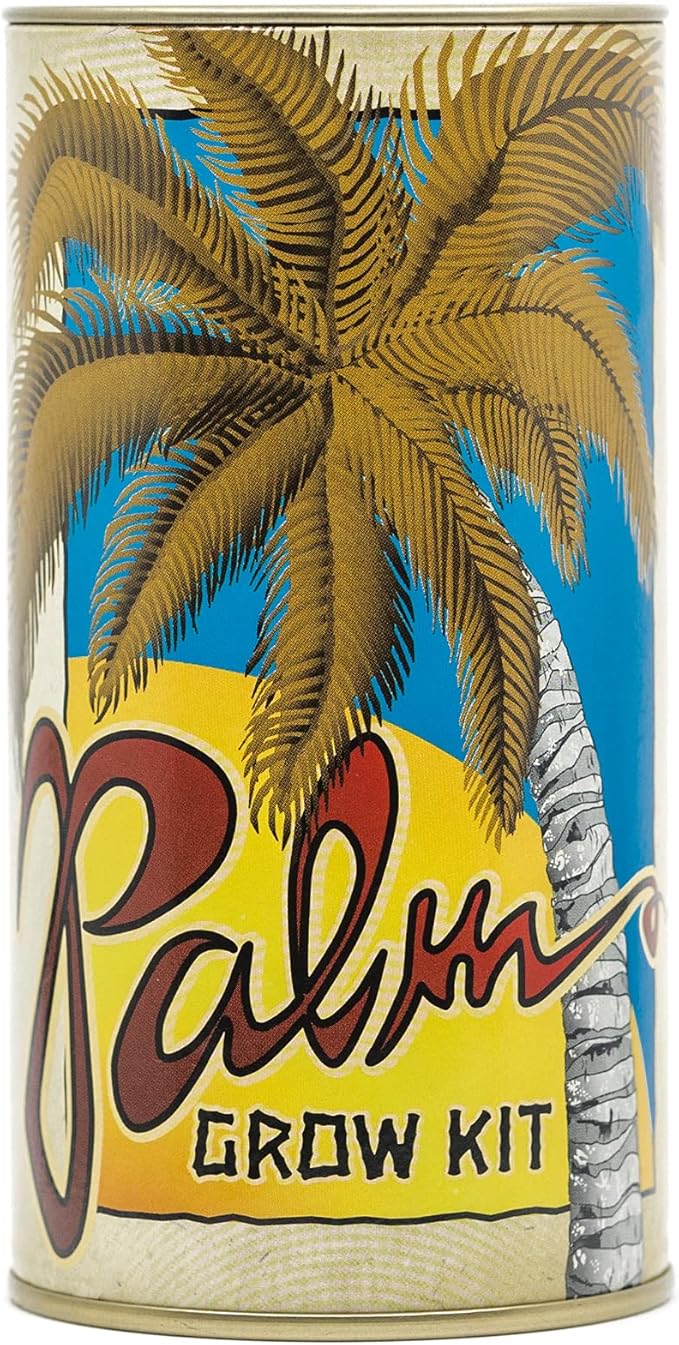 Sabal Palm | Seed Grow Kit | The Jonsteen Company