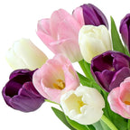 Benchmark Bouquets - White, Pink, Purple Tulips - Fresh Flowers for Delivery - Mothers Day Gifts for Wife - Mothers Day Flowers for Mom - Teacher Appreciation Gifts - Glass Vase Included (20 Stems)