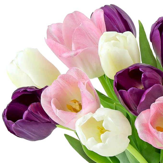 Benchmark Bouquets - White, Pink, Purple Tulips - Fresh Flowers for Delivery - Mothers Day Gifts for Wife - Mothers Day Flowers for Mom - Teacher Appreciation Gifts - Glass Vase Included (20 Stems)