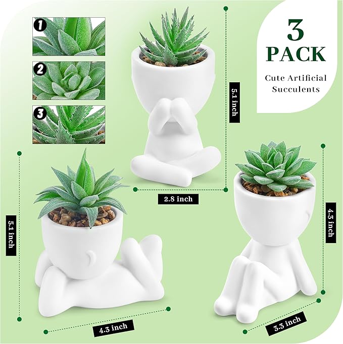 Der Rose 3pcs Fake Succulents Plants Artificial for Bathroom Bedroom Home Room Decor Aesthetic Indoor