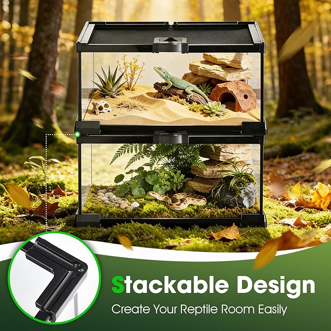 Reptile Terrarium Glass Kit 12" x 8" x 6" Starter Habitat for Tarantula, Succulents, Frogs, or Hermit Crabs, Tank with Escape-Proof Locking Lid