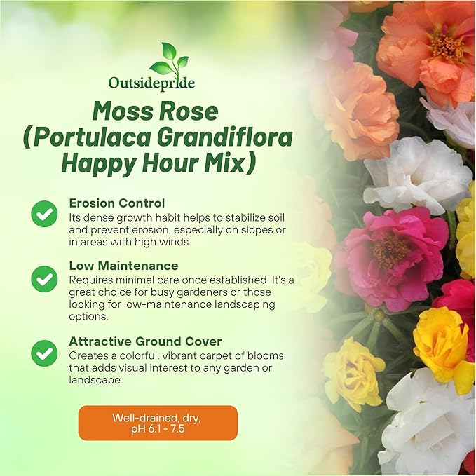 Outsidepride Happy Hour Mixed Moss Rose Seeds - 250 Pcs Annual, Drought & Heat Tolerant, Pollinator Friendly Ground Cover Seeds for Planting w/Vibrant Blooms & Succulent Foliage, for Xeriscaping