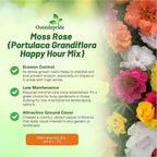Outsidepride Happy Hour Mixed Moss Rose Seeds - 250 Pcs Annual, Drought & Heat Tolerant, Pollinator Friendly Ground Cover Seeds for Planting w/Vibrant Blooms & Succulent Foliage, for Xeriscaping