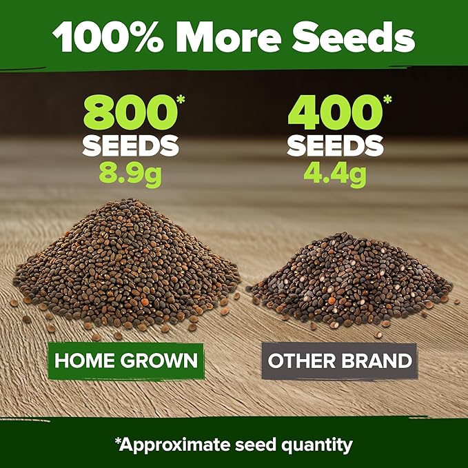 HOME GROWN 𝗨𝗦𝗔 𝗣𝗥𝗘𝗠𝗜𝗨𝗠 Cherry Belle Radish Seeds 800 & Tendersweet Carrots Seeds 2 Pack 6000