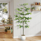 Faux Black Olive Tree 6FT,Artificial Tall Plant with White Planter and Stone,Potted Fake Tree with Natural Trunk,Artificial Plants Indoor for Home Office Living Room Corner Decor