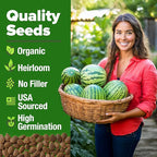 HOME GROWN Organic Crimson Sweet Watermelon Seeds 15+ Heirloom Non-GMO, High Germination, Honey Sweet Summer Fruit, Striped Skin, Home Garden & Raised Beds, High Sugar Content (Citrullus lanatus)