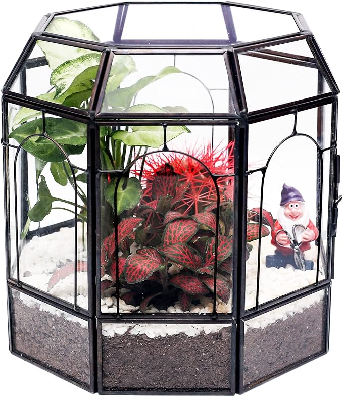 REDHUGO Large Glass Terrarium Handmade, Centerpiece Display Box Gift Planter Containers Indoor Terrariums House for Succulent Cacti Air Plants Miniature Fairy Garden