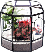 REDHUGO Large Glass Terrarium Handmade, Centerpiece Display Box Gift Planter Containers Indoor Terrariums House for Succulent Cacti Air Plants Miniature Fairy Garden
