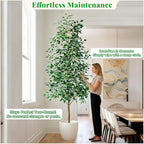 Bailikang 8FT Artificial Ficus Trees Indoor Faux Trees Indoor Fake Floor Plants Tall Artificial Tree with White Pot Faux Tree Fake Indoor Tree Silk Plants Artificial Trees for Home Decor Indoor