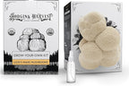 Organic Lion's Mane Mushroom Growing Kit - Indoor Gardening Kit for Fresh Gourmet Mushrooms - Easy Grow at Home - Holiday Gift for Garden Lovers & Foodies - Grown in USA - 3.5 lb