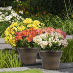 16 inch Plant Pots Outdoor Planters，4 Pack Large Plastic Flower Pot For Indoor Plants With Drainage Holes & Saucer, Resin Decorative Container Sets With Trays For House Outdoor Garden Plant Dark Gold