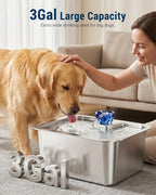 3 Gallon Stainless Steel Dog Water Fountain, BPA-Free Automatic Pet Water Dispenser with Quiet Pump, Easy to Clean, Large Capacity for Large Dogs and Multi-Pet Households