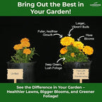 10-10-10 Plant Fertilizer Slow Release - 10 10 10 All Purpose Granular Garden Fertilizer for Vegetables, Tomato, Arborvitae, Shrubs, Rose, Flowers, Fruit, Fig Trees (4 QUARTS)