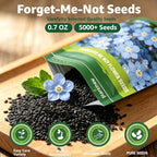 5600+ Forget Me Not Seeds for Planting, Easy to Grow Blue Forget-Me-Not Flowers, Perennial Wildflower Seeds for Ground Cover, Borders & Pollinator Gardens