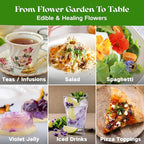 Lush&Dew Edible Flower Seed Bank with Almanac, Gardening Gifts for Women Men, 32 Types 30,000+ Non-GMO Heirloom Seeds for Planting Culinary Flowers, Survival Seed Kit, Annual Perennial, Zone 3-11