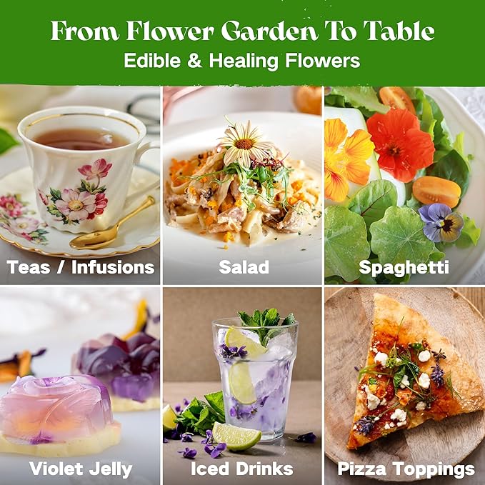 Lush&Dew Edible Flower Seed Bank with Almanac, Gardening Gifts for Women Men, 32 Types 30,000+ Non-GMO Heirloom Seeds for Planting Culinary Flowers, Survival Seed Kit, Annual Perennial, Zone 3-11