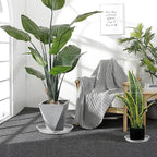 OUPSAUI 4 Pack Clear Plant Saucer 4 6 8 10 12 14 16 18 20 22 Inch Plant Trays for Pots, Plastic Extra Large Planter Saucers for Outdoors Indoors, Drip Catcher Water Tray for Plants (12 Inch)