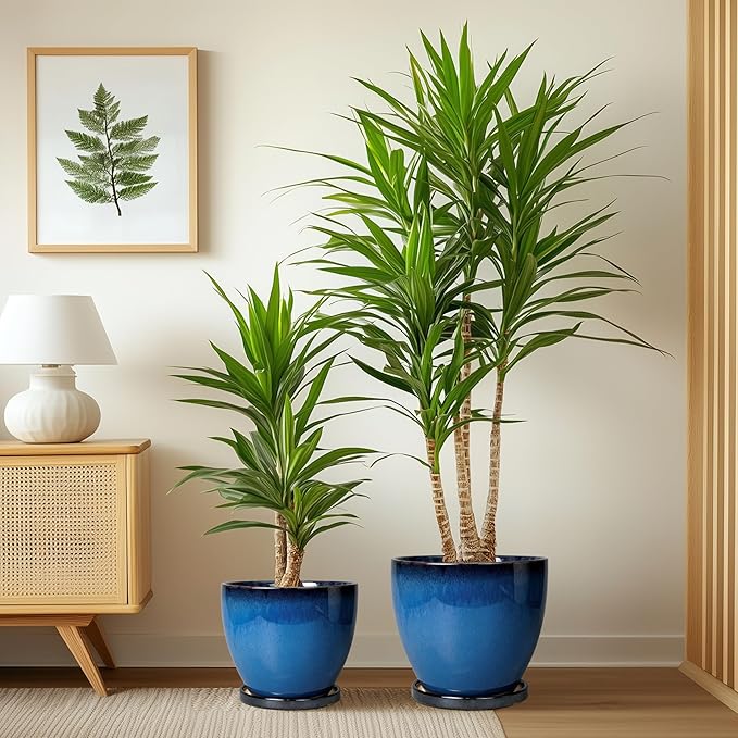 Ceramic Plant Pots 3 Pack - 10 Inch 8 Inch 6 Inch Round Modern Planters with Drainage Holes and Saucers, Flower Pots for Indoor Outdoor, Room Garden House Decor, Gift for Women Men, Blue