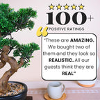 Artificial Bonsai Tree 16" Tall with Realistic Wood and Ceramic Pot, Fake Plants for Home, Bedroom and Office Desk, Japanese Decor