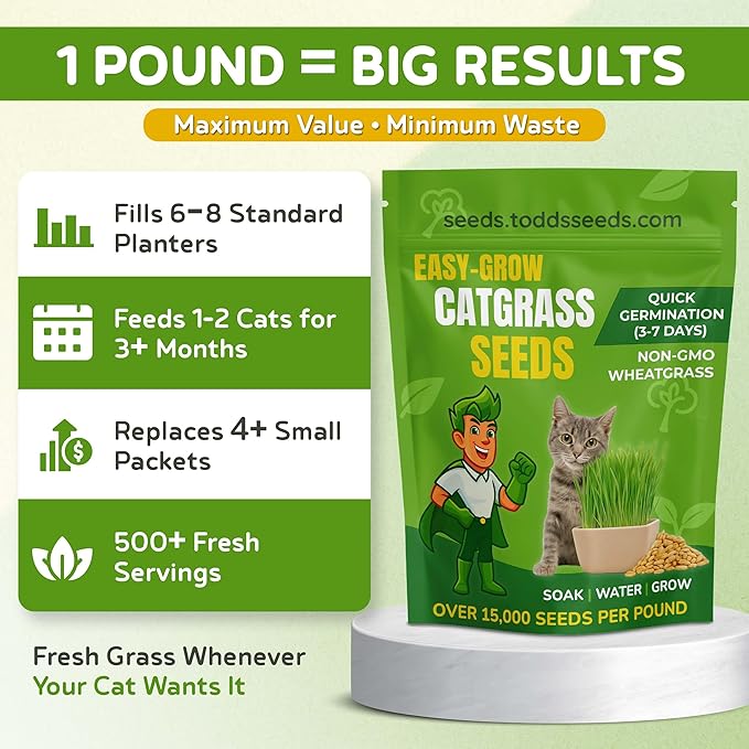 Todd's Seeds Cat Grass Seeds (1 Lb Bulk) | Premium Wheatgrass for Indoor Cats | Fast Growing Pet Grass in 5 Days | Non-GMO, Chemical Free, Hairball & Digestive Aid
