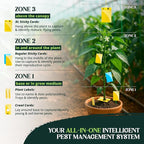 Catchmaster GRO Yellow Regular Double Sided Sticky Traps 72PK, Adhesive Bug & Fruit Fly Trap, Pest Control for Home, Farm, Garden, Hydroponics & Greenhouse, Protect Live Plants Indoor & Outdoor