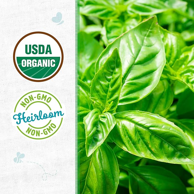 Back to The Roots 100% Organic Seed Packet Basil Sweet