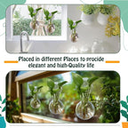 Baderke 6 Pack Window Propagation Stations Plastic Wall Hanging Planter with Suction Cups Brush Window Suction Plant Holder Vases Tubes Terrarium for Home Office Decor(Bulb)