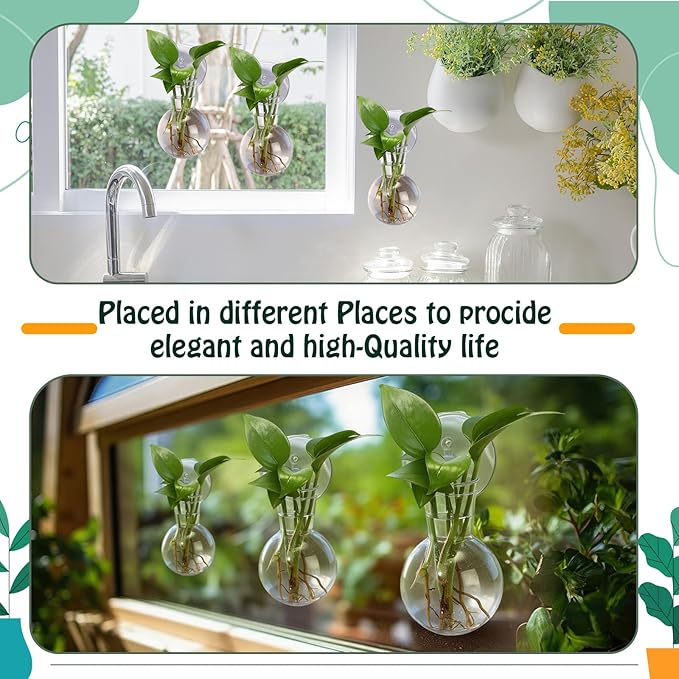 Baderke 6 Pack Window Propagation Stations Plastic Wall Hanging Planter with Suction Cups Brush Window Suction Plant Holder Vases Tubes Terrarium for Home Office Decor(Bulb)