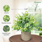 3 Pcs Fake Plant Set, Mini Artificial Potted Greenery, Small Faux Plants Decorative Accents for Home Office Desk Shelf Table Indoor Room Decoration