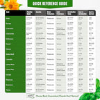 Medicinal Herb Seeds Variety Pack – Calendula, Echinacea, Lemon Balm, Hyssop & Lovage – 15 Varieties, 2950+ Non-GMO Heirloom Seeds, Indoor & Outdoor Growing