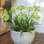 Faux Outdoor Flowers Realistic Artificial Plants 8 Bundles Plastic Flower Outside 18.9 in Fake Greenery Stems Green Flower for Pot Planter Decor Outside