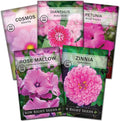Sow Right Seeds - Collection of Pink Flower Seeds for Planting - Non-GMO Heirloom Packets with Instructions - Wonderful Rosy Blooms to Attract Pollinators - Cut and Come Again - Rare Varieties