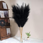 Premium Faux Black Pampas Grass – 55" 8pcs Tall Ultra-Fluffy 24-Branch One-Piece Stems No Assembly, Luxury Silk-Feel Feather Flowers for Modern Gothic Industrial Home Decor (Jet Black, 8 Stems)