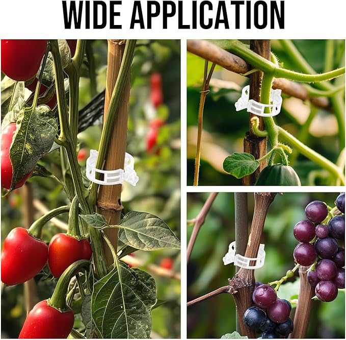 Plant Support Clips Plastic Tomato Clips Plant Clips for Climbing Plants Clear Grape Tomato Vine Trellis Clips for Garden Vegetables Plants Flower Grow Fixing (200, White)