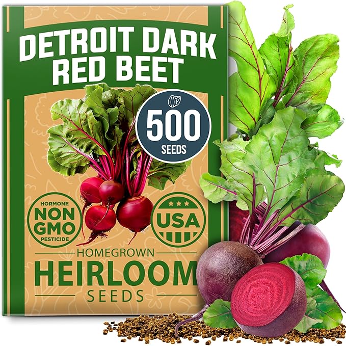 HOME GROWN Dill Seeds 2028 & Tendersweet Carrots 6000 & Detroit Dark Red Beet 500
