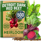 HOME GROWN Dill Seeds 2028 & Tendersweet Carrots 6000 & Detroit Dark Red Beet 500