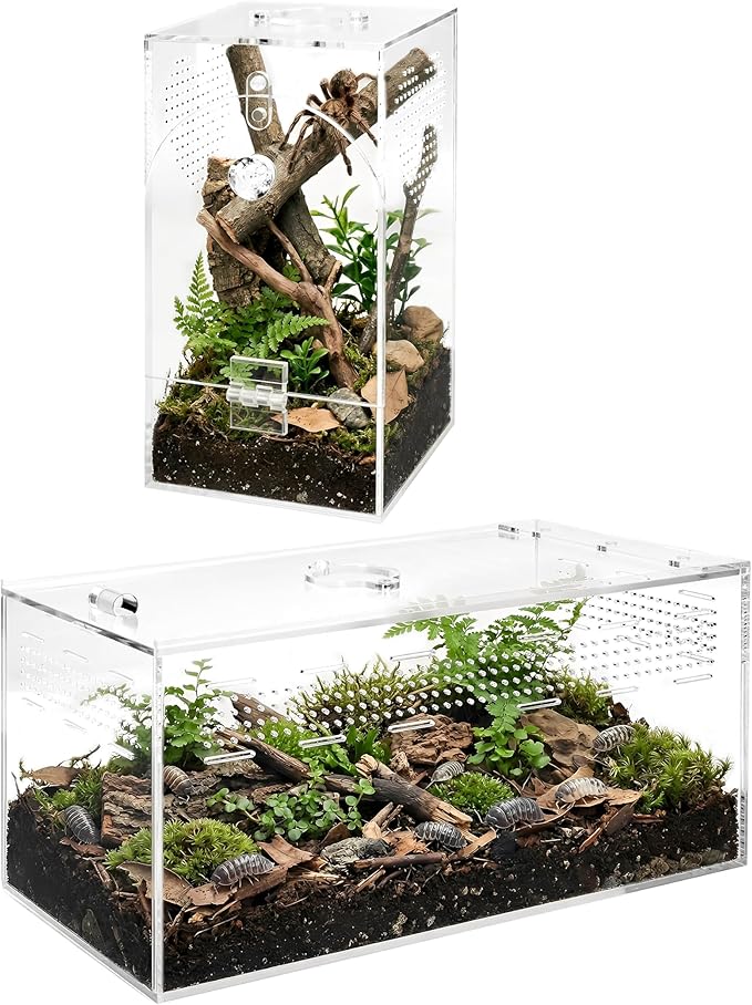 Jumping Spider Enclosure Set, Terrestrial Arboreal Combo, Acrylic Tarantula Terrarium, Praying Mantis Habitat, No Assembly, 2-Size Kit, Large