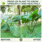LEOBRO Plant Support, 8 PCS Peony Cages and Supports, Metal Plant Stakes, Plant Supports for Indoor Plants, Outdoor Plants, Monstera Hydrangea Support Cage, 10" W x 24" H