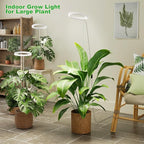 10" Grow Lights for Indoor Plants Full Spectrum, 160 LEDs Large Plant Light for Indoor Plants, Height Adjustable 11"-65" Growing Lamp with Auto On/Off Timer 3/9/12H, 9 Dimmable Brightness,White
