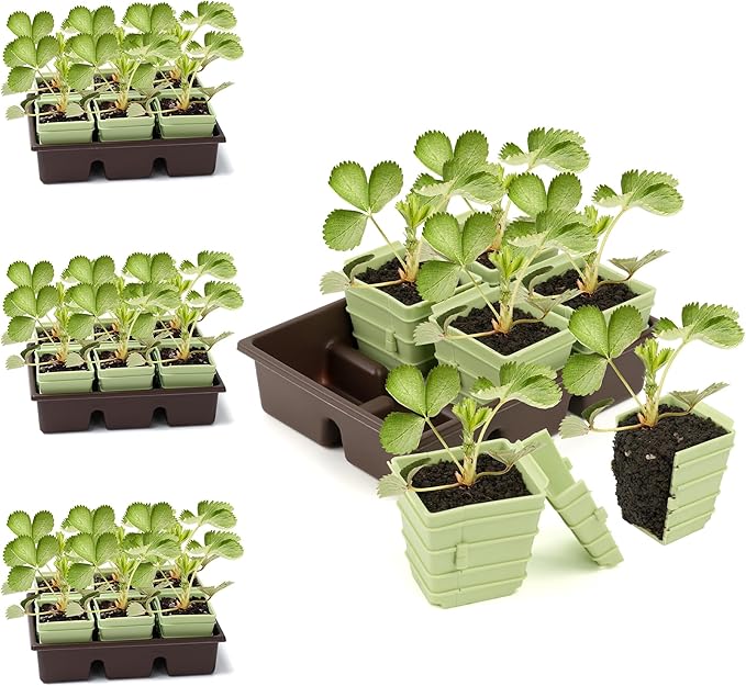 Side-Open Seed Starter Tray 4-Pack, 24 Cells Modular Design with Detachable Plant Cells, Extra-Large 2.36"x2.28" Cells, Reusable Seed Germination Kit for Indoor & Outdoor Gardening